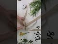 DIY Magnolia Door Hanger Cross | Elegant Year-Round Cross Wreath Kit | Kit 840
