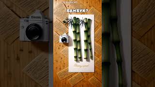 #Kaiber – Bamboo Letter | Бамбуквы #Бамбук #Буквы #Нейросеть #Анимация #Ai