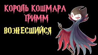 Король Кошмара Гримм Вознесшийся Hollow Knight + амулеты