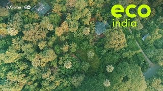 Eco India: In a rapidly urbanising Mumbai, can its green lung, Aarey be saved?