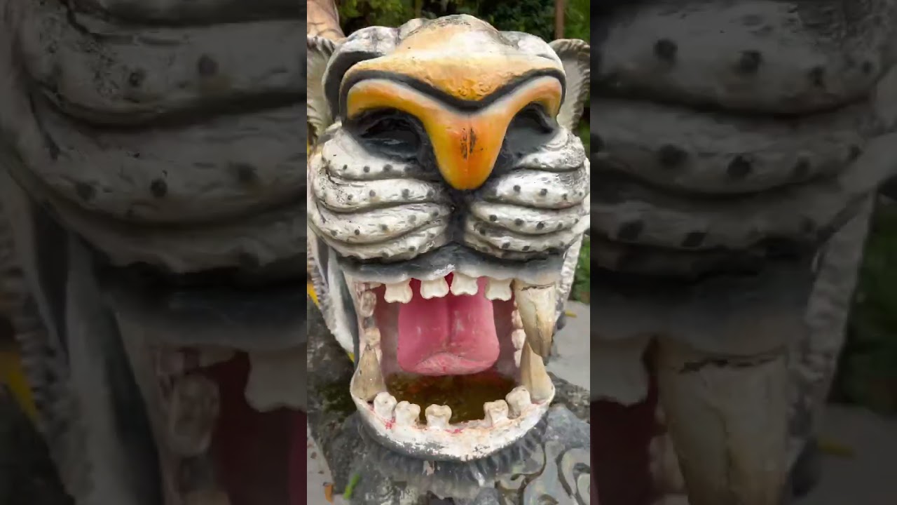 Tiger mouth at tiger cave temple 