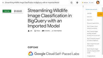Streamlining Wildlife Image Classification in BigQuery with an Imported Model GSP1248