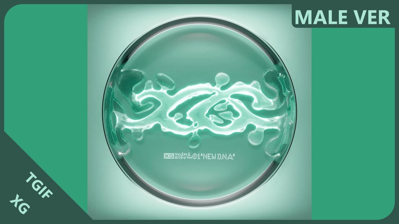 XG - TGIF | Male Version