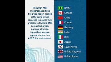 2024 AMR Index Video
