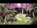 Flamingo Habitat walk-thru. Flamingo Hotel &amp; Casino Las Vegas 2019