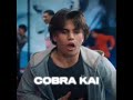 Les dejo un poco de acción #cobrakai #migueldiaz #robbykeene