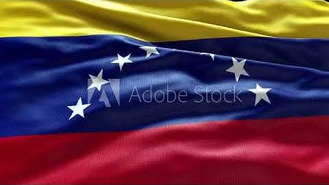 4k render Venezuela Flag video waving in wind Venezuela Flag Wave Loop waving in wind Venezuela