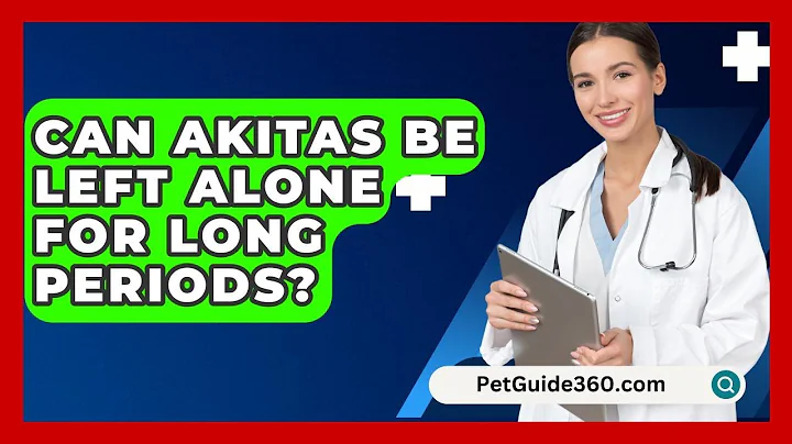 Can Akitas Be Left Alone for Long Periods? - PetGuide360.com