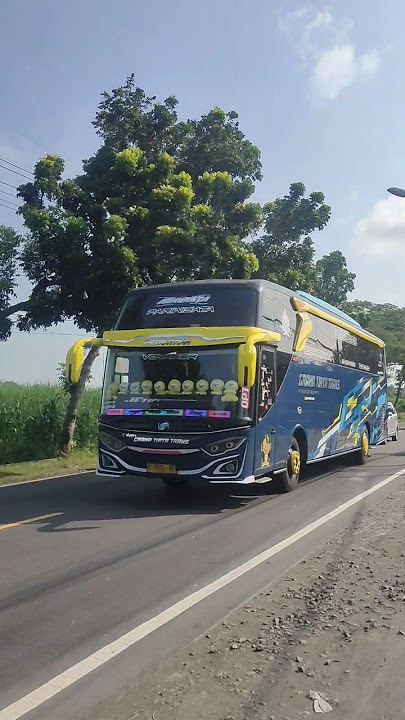 BUS BASURI GRAHA TIRTA TRANS V3 #busmania #busmaniaofficial