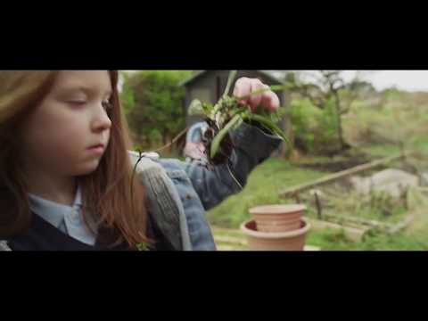 Rúbaí (Short Film)