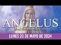 Ángelus de Hoy LUNES 20 DE MAYO DE 2024 ORACIÓN DE MEDIODÍA