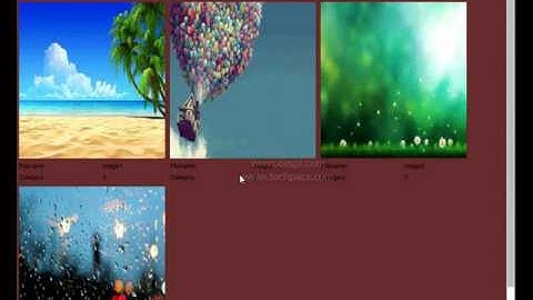 Learn to Personalized Image Search from the Photo Sharing Websites (latest Project 2020)