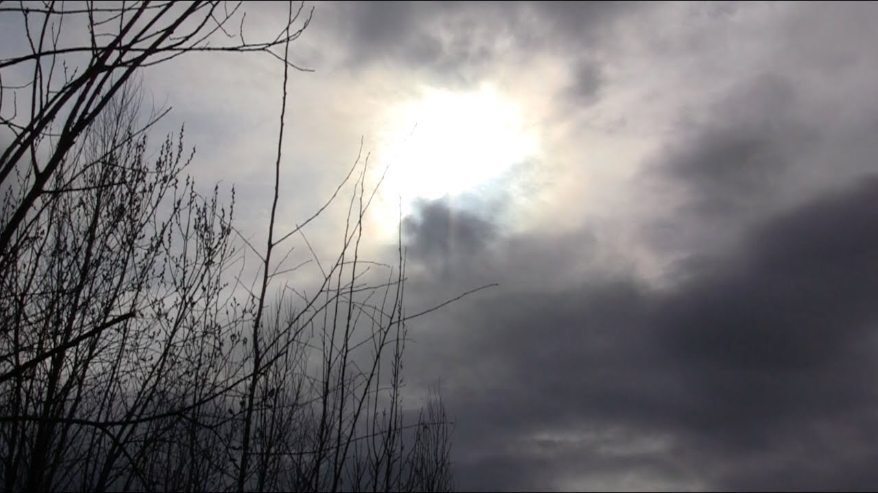 William Shakespeare. Sonnet 66