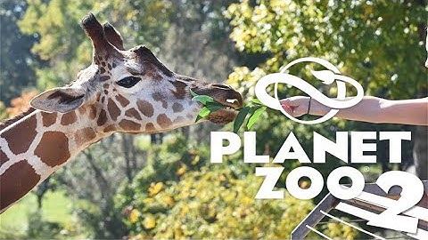 New Guest Experiences - Planet Zoo 2 Speculation