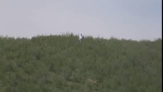 Steve Found Something On The Hill