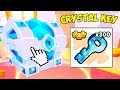 I Opened 300 Crystal Keys And Got Insane Loot In Pet Simulator 99