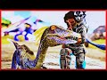 EN GÜÇLÜ OLACAK dinozoru evcilleştirdim | Dox Hardcore | Ark Survival Evolved Türkçe | 25. Bölüm