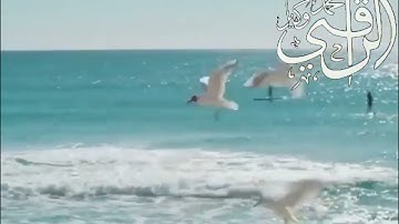 ماتيسر من سورة القمر   الراقي محمد وكيل