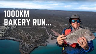 SHARK BAY (STEEP POINT) BONE RATTLING TRACKS...  ||  1000km Bakery Run? & Finding New Fishing Ground