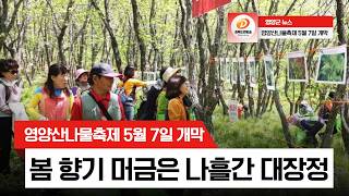 영양산나물축제, 5월 7일 개막…봄 향기 머금은 나흘간 대장정