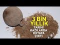 Tarihi kazılarda 'Çömlek' İçinde 3 Bin Yıllık Buğday Taneleri Çıktı