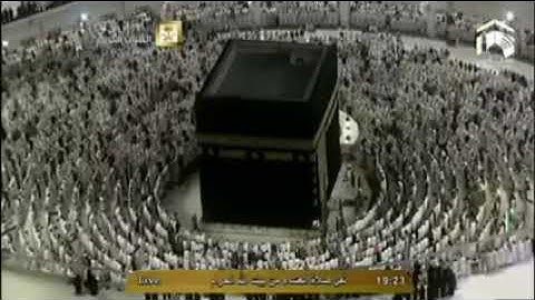 عشائية هادئة لما تيسر من سورة آل عمران.