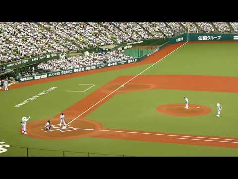 メットライフドーム　人気ロックバンドWANIMAの来場&自身初の始球式登板