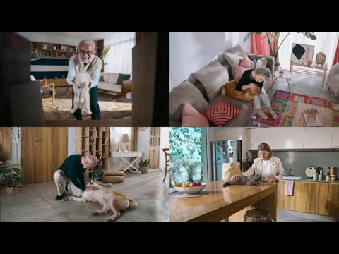 لكل شخص عامل حاله ما بحب الحيوانات كل يوم عالمي للحيوانات وأنتم بخير