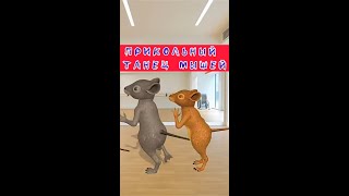 Прикольный танец мышей | Приколы с животными