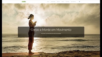 Como criar um site profissional no WordPress | Personalizar Tema Shapely - Aula 9