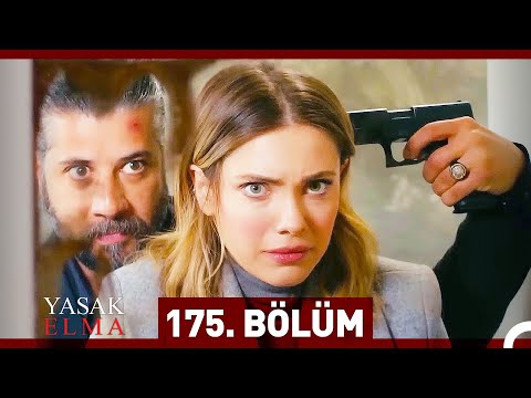 Yasak Elma 175. Bölüm