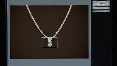 Canon EOS remote live view function in DPP Digital Photo Professional