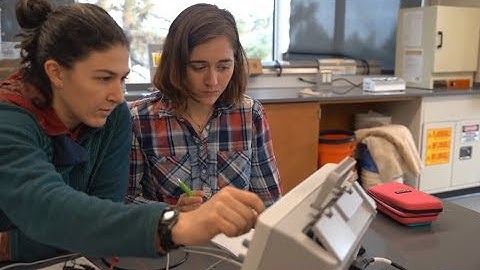 What is Energy Systems Engineering?