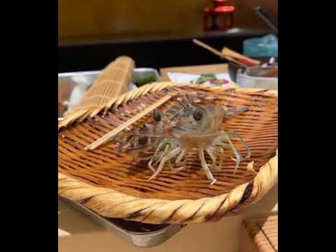 Fresh prawn eats - YouTube