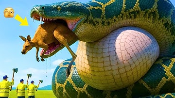 Brave Rescue Team Battles Dangerous Giant Python To Save Innocent Kangaroo 🐍🦘