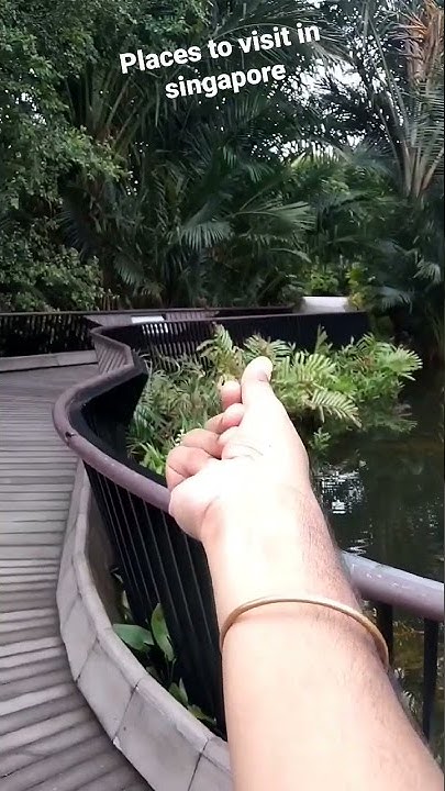 singapore-places-to-visit-in-singapore-must-visit-places-in-singapore