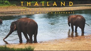 From Kanchanaburi To Chiang Mai Via Elephants - By Sam Angl.