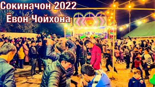 Далери Зарифи Сокиначон 2022 дар Ёвон Чойхона