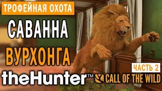 theHunter Call of the Wild #4 🔫 - Саванна Вурхонга - Трофейная Охота (Часть 2)