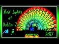 Magical  WILD LIGHTS at Dublin Zoo!!!ШОУ китайских фонарей. ИРЛАНДИЯ