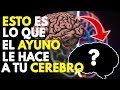 AYUNO INTERMITENTE: Así Es Como TRANSFORMA Tu CEREBRO