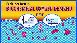 Biochemical Oxygen Demand (BOD): Explained details (Animation)