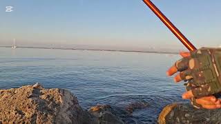 Ψάρεμα Απίκο για Γερμανούς ή αλλιώς κουρκούνες και μουρμούρες