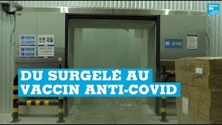 Covid-19 : en Corée du Sud, une entreprise de surgelés se propose de stocker le vaccin de Pfizer