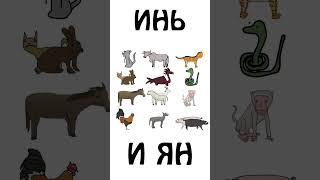 Вот почему крыса стоит первая в китайском гороскопе! #шортс #авызналиэто #крыса #животные image