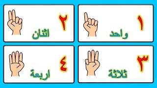 العد بالاصابع - تعليم العدَّ والجمع بالأصابع للأطفال