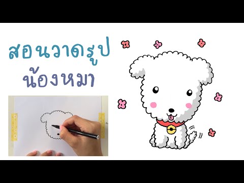 วีดีโอ: วิธีการวาดพุดเดิ้ล