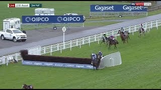 Bizarre finish to a horse race at Ascot! screenshot 3