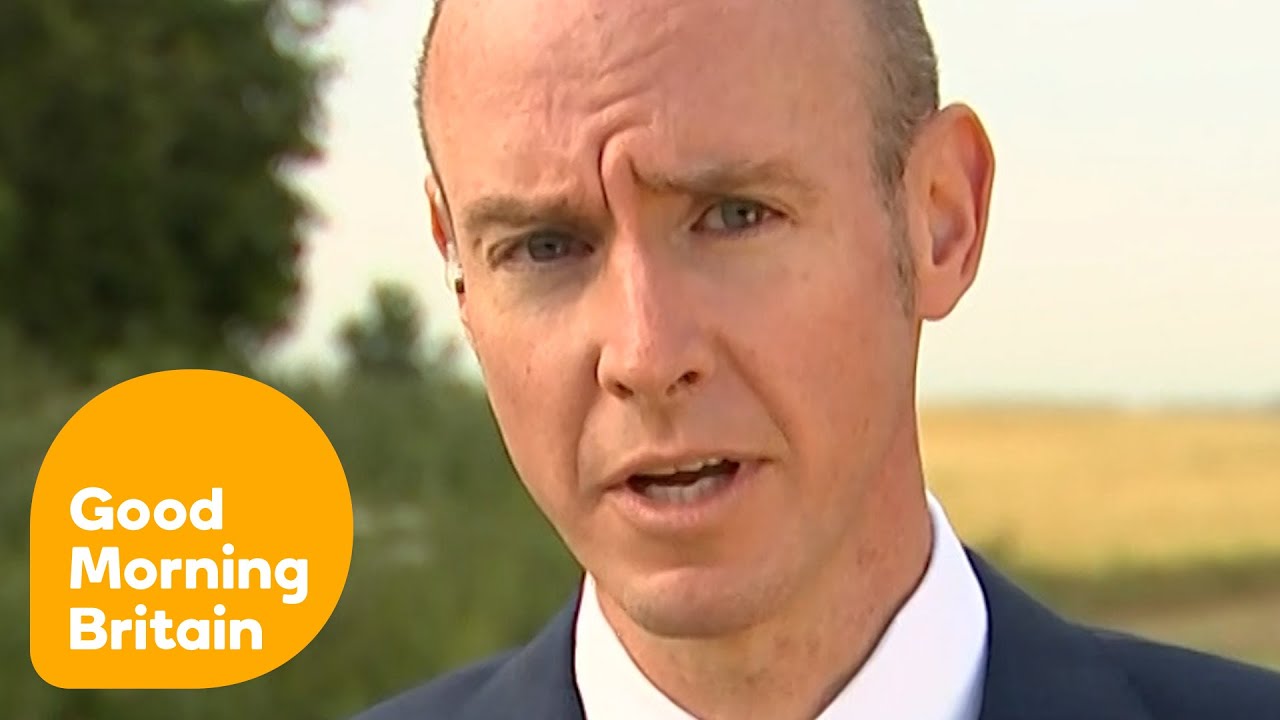 Daniel Hannan On Post-Brexit Hate Crimes | Good Morning Britain