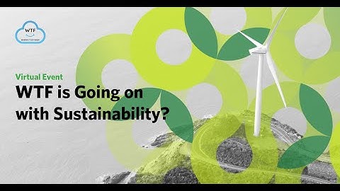 WTF Is Going on with Sustainability